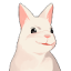정늄