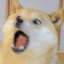 림성